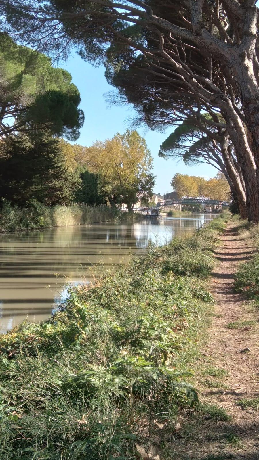 Hôte GreenGo: La Promesse de l'Aude - Image 40