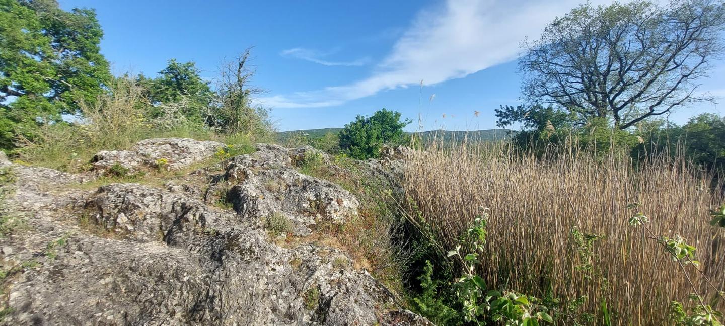 Hôte GreenGo: Gîte La clef des champs - Image 10