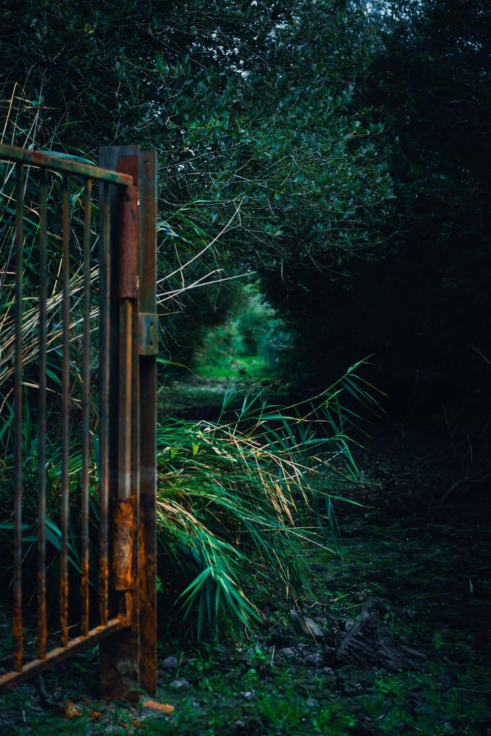 GreenGo location vacances écoresponsables