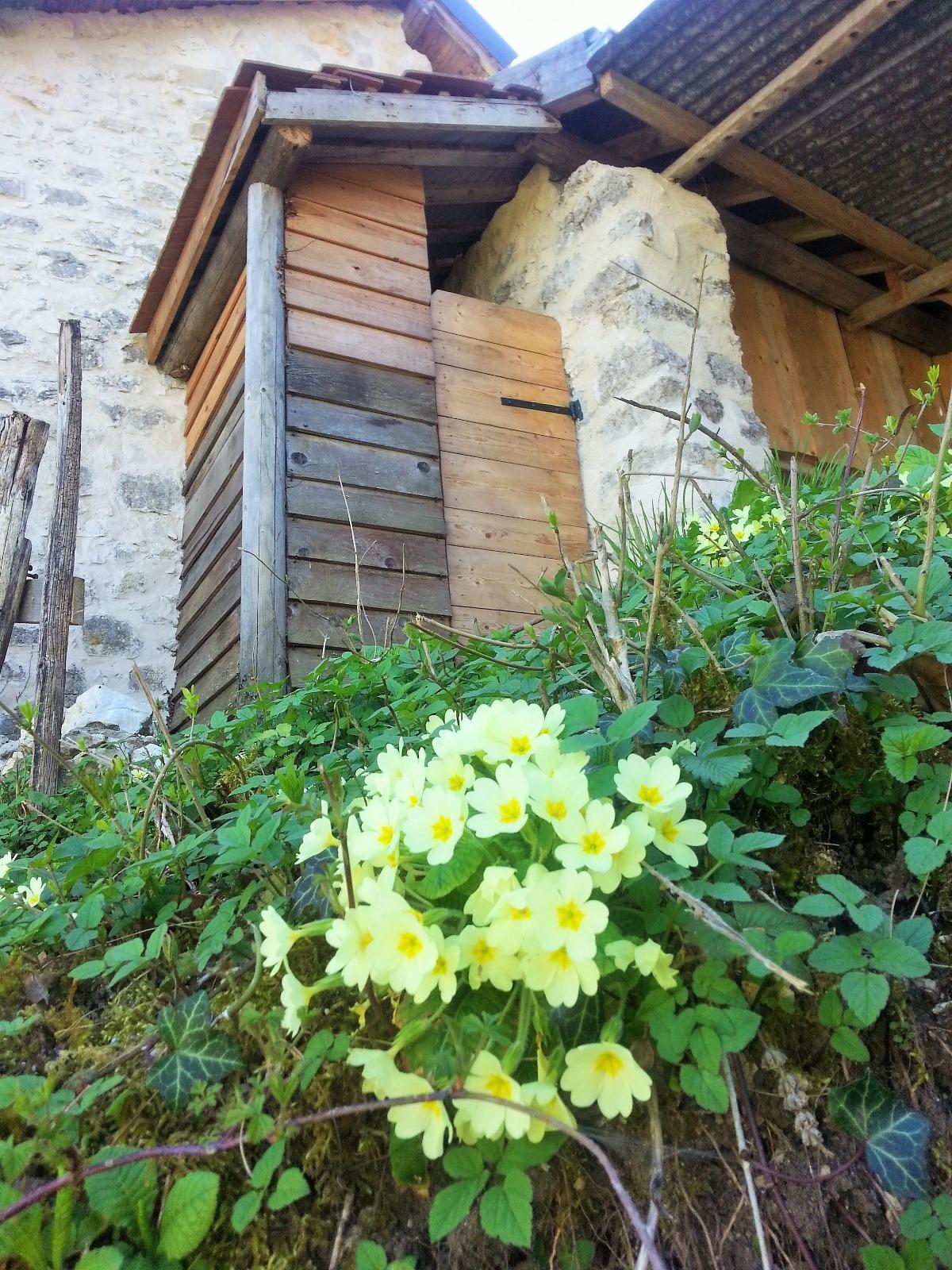 Hôte GreenGo: Eco refuge de montailloux Nuitée & Repas  En pleine Nature Entre Bugey & Savoie - Image 9