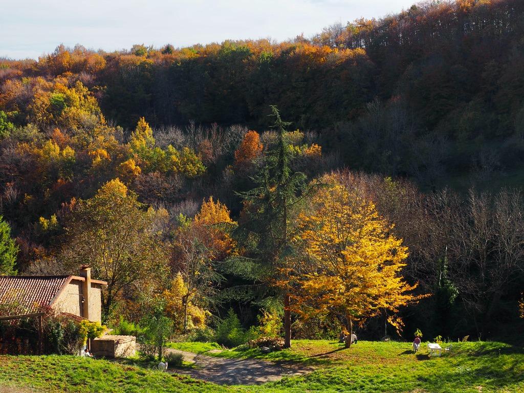 GreenGo Gîte Occitanie Évasion