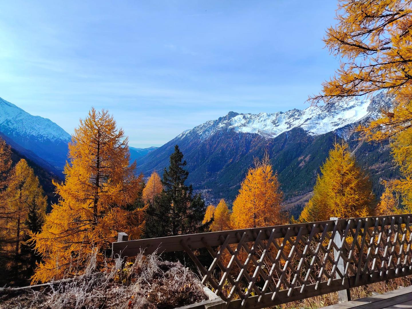 GreenGo La Tanière de Fiz