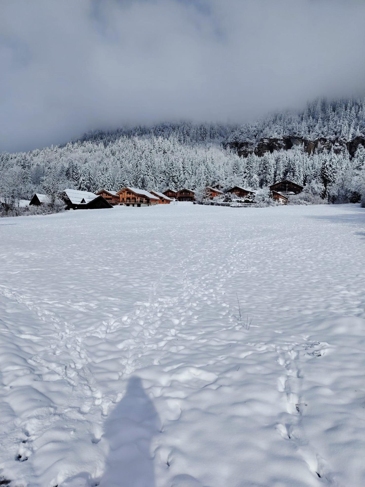 Carte cadeau GreenGo