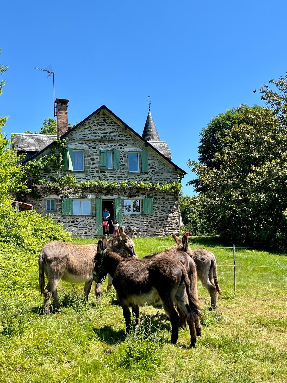 Le gite des ânes