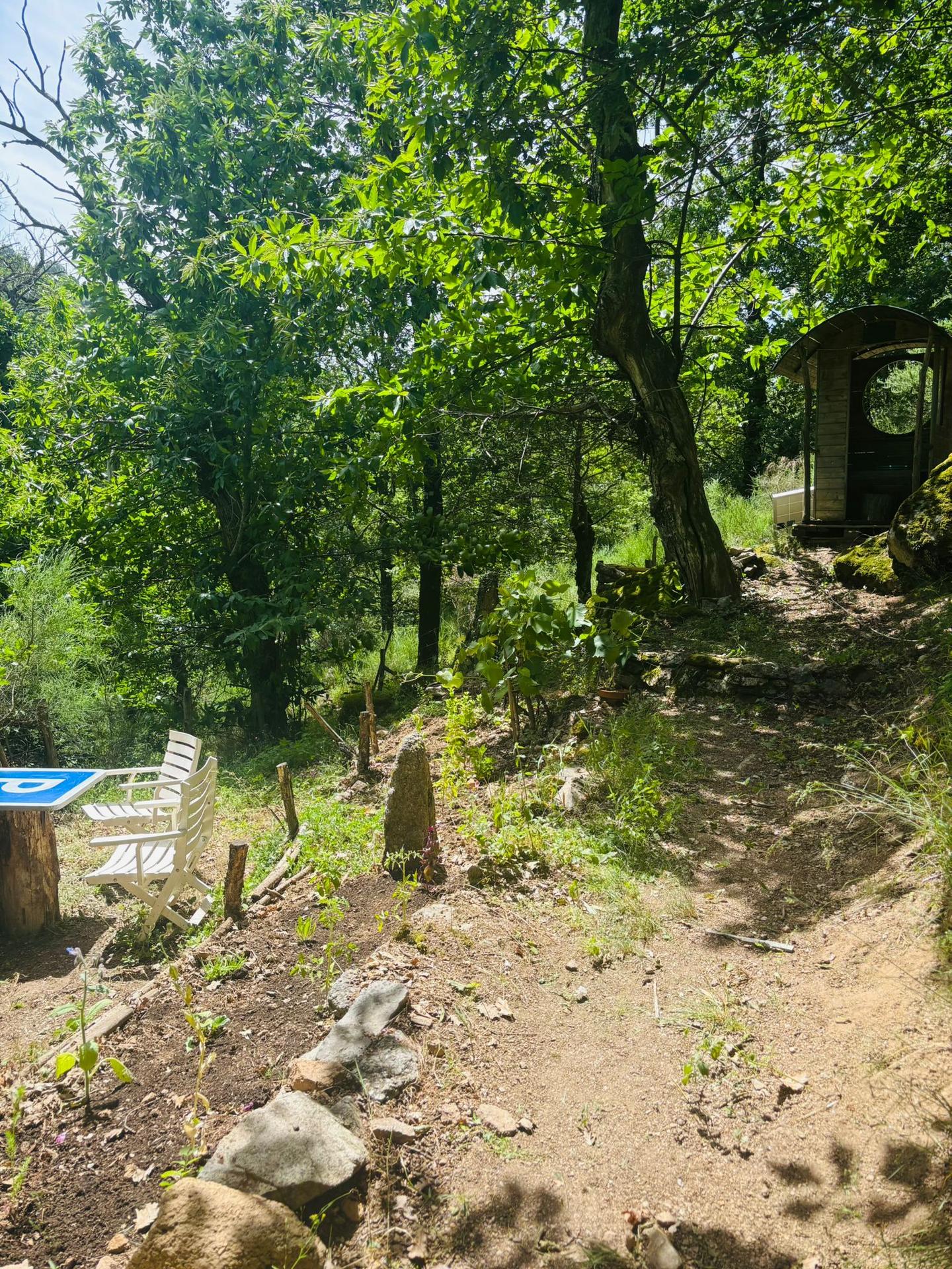 GreenGo La chouette cabane