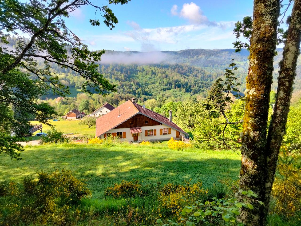 GreenGo Gîte Grand Est Évasion