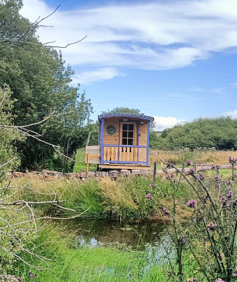 Logement GreenGo: Roulotte bleue "Teilha"