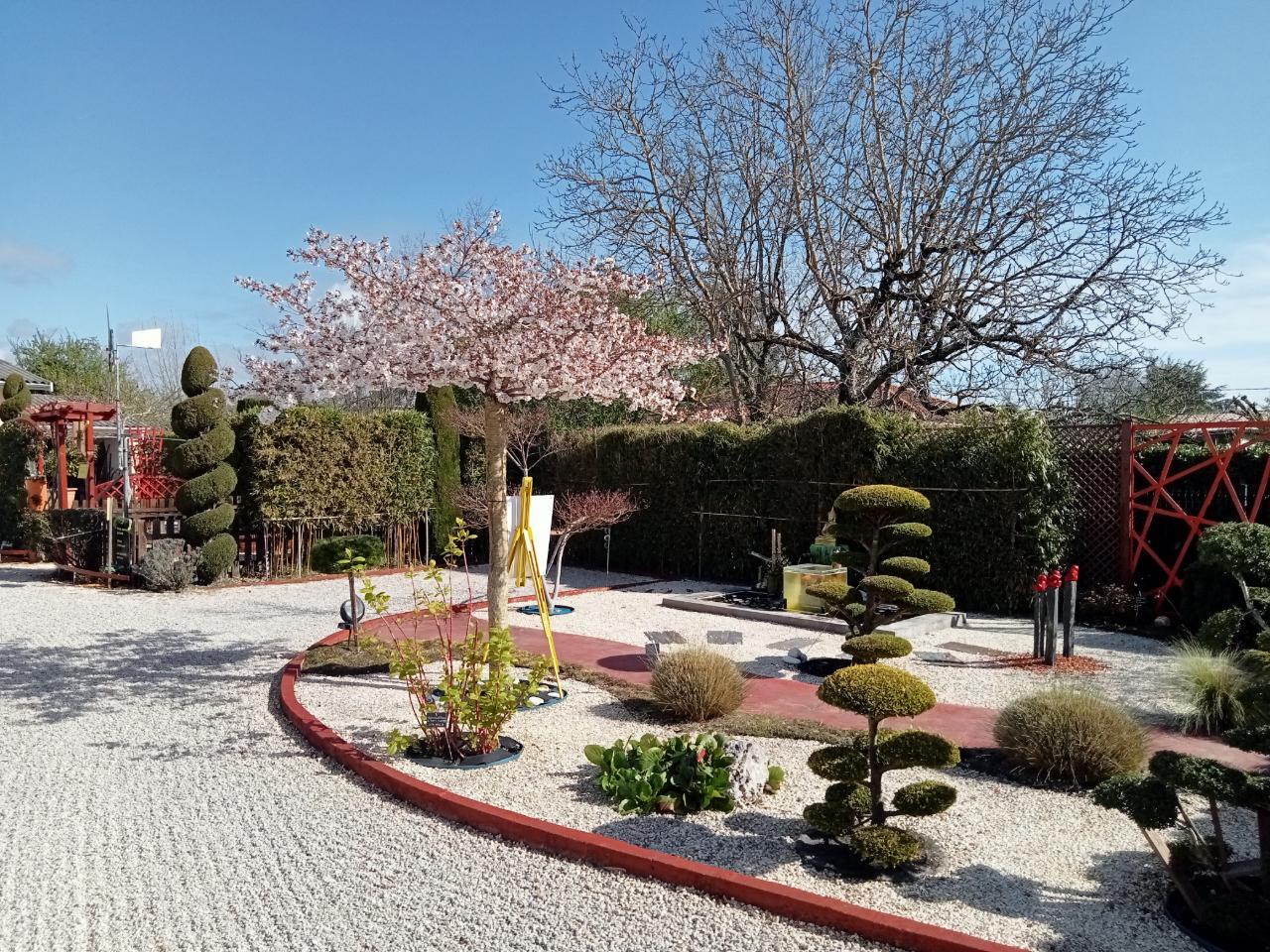 Carte cadeau GreenGo