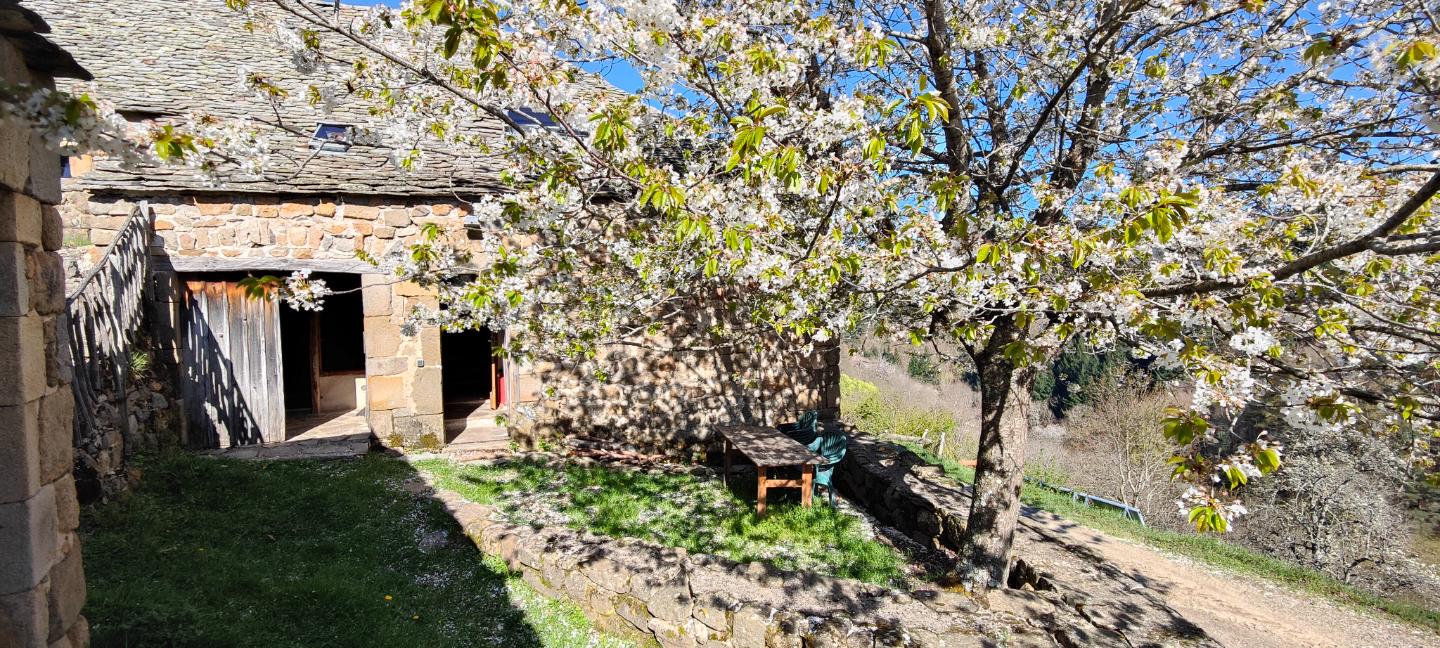 orderedImageAlt_accommodation_default