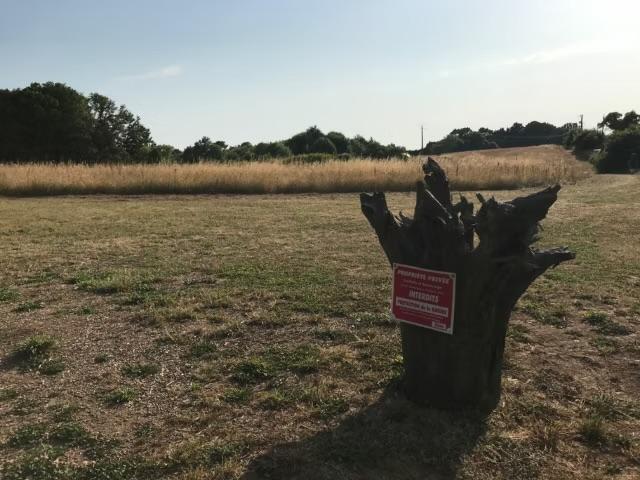 GreenGo La petite caravane vintage des années 80