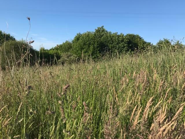 GreenGo location vacances écoresponsables