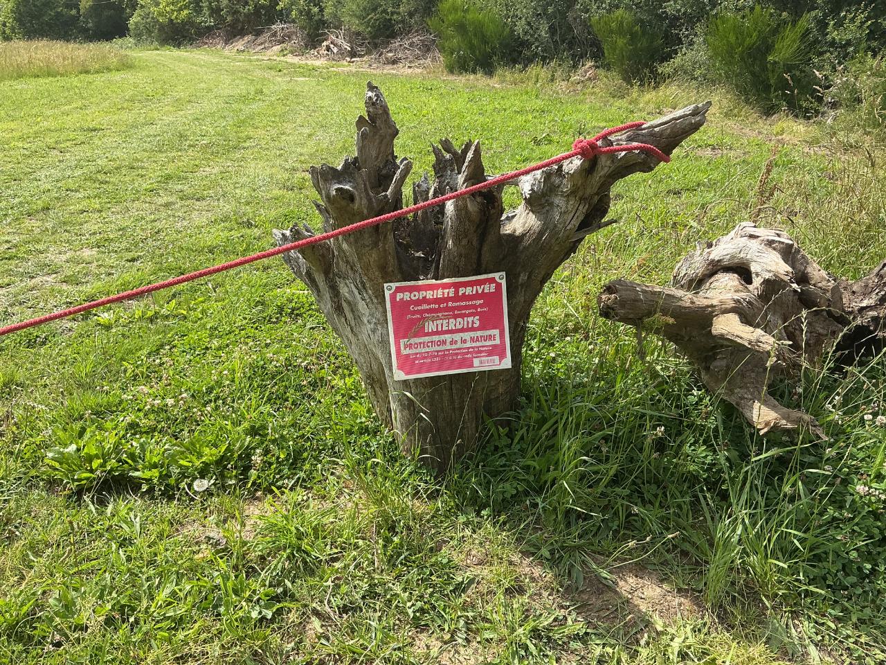 GreenGo location vacances écoresponsables