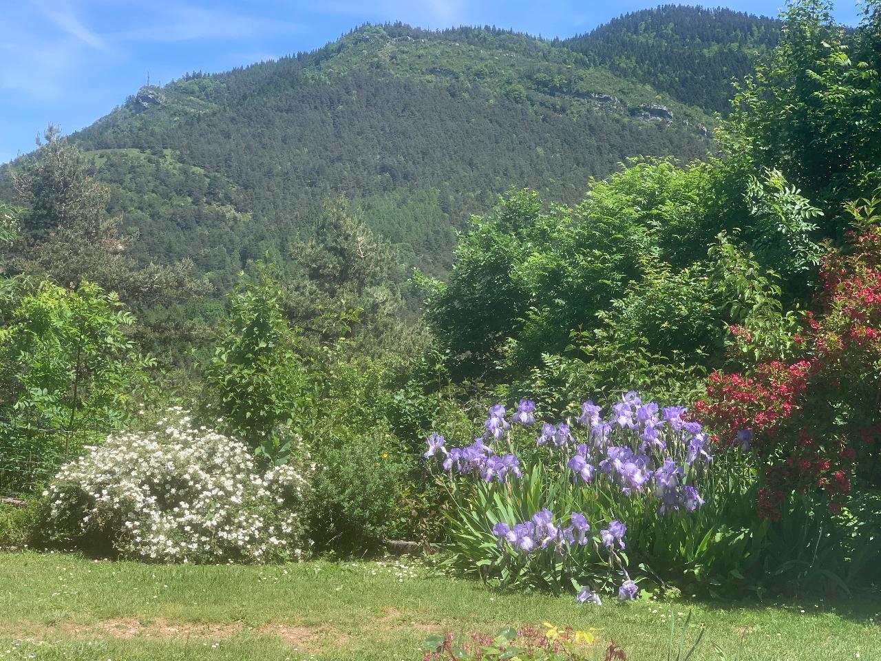  Isère À la campagne