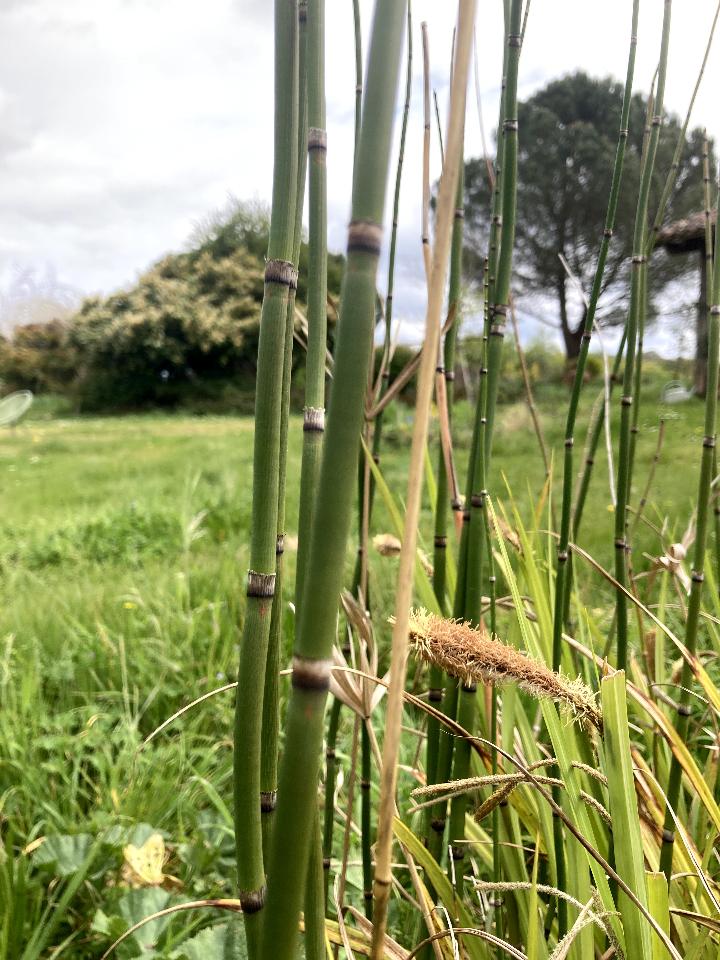 Dordogne À la campagne
