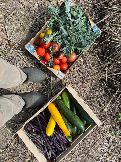 GreenGo Chambre d’hôtes Normandie À la campagne