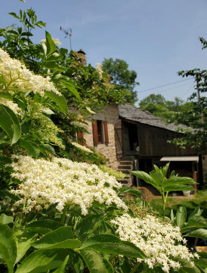 GreenGo La Ferme de Sabadel
