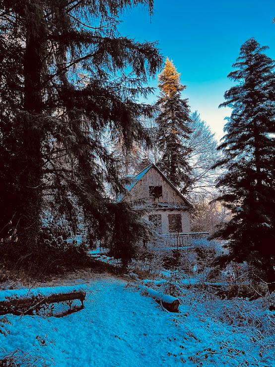 Carte cadeau GreenGo