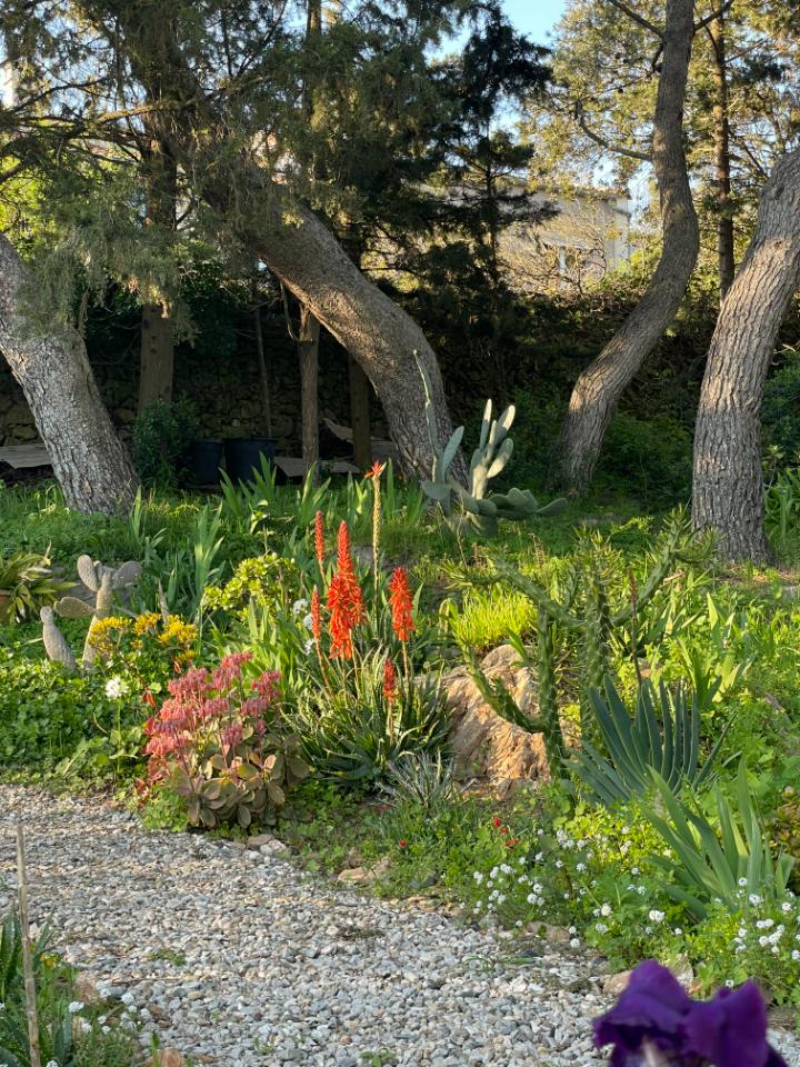 GreenGo location vacances écoresponsables