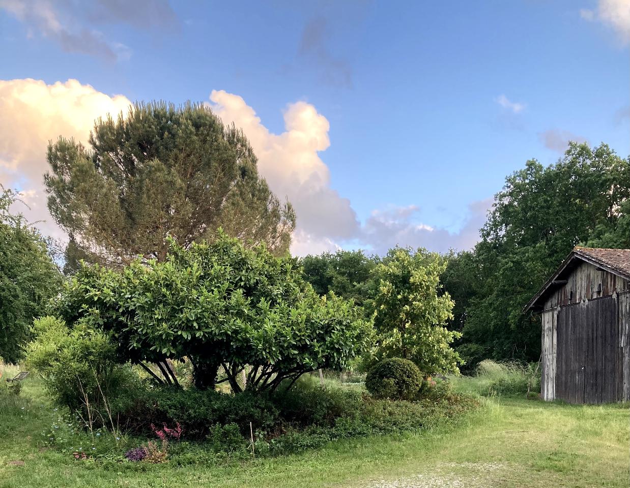 GreenGo location vacances écoresponsables