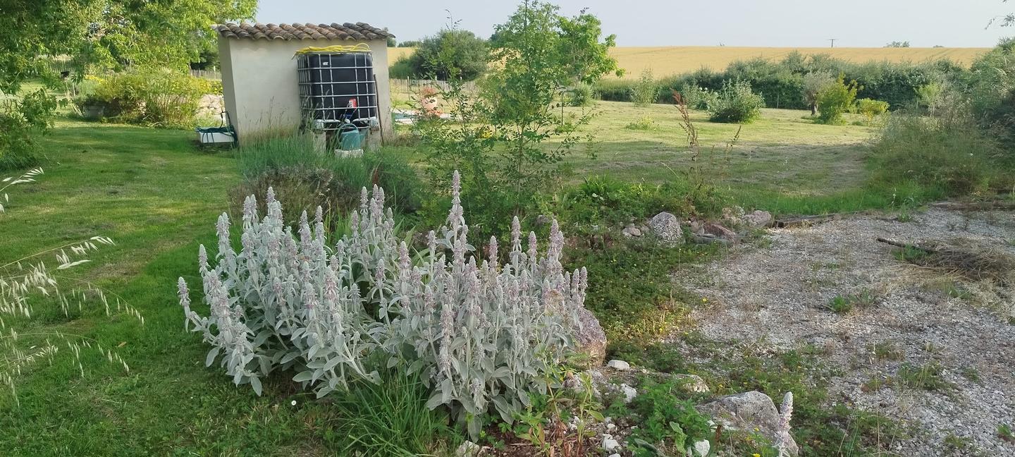 GreenGo location vacances écoresponsables