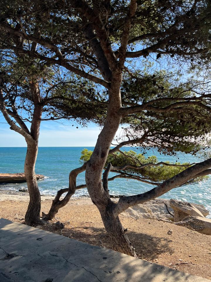 Hôte GreenGo: Villa à 2 pas de la plage - vue mer - Wi-Fi Clim - Image 37