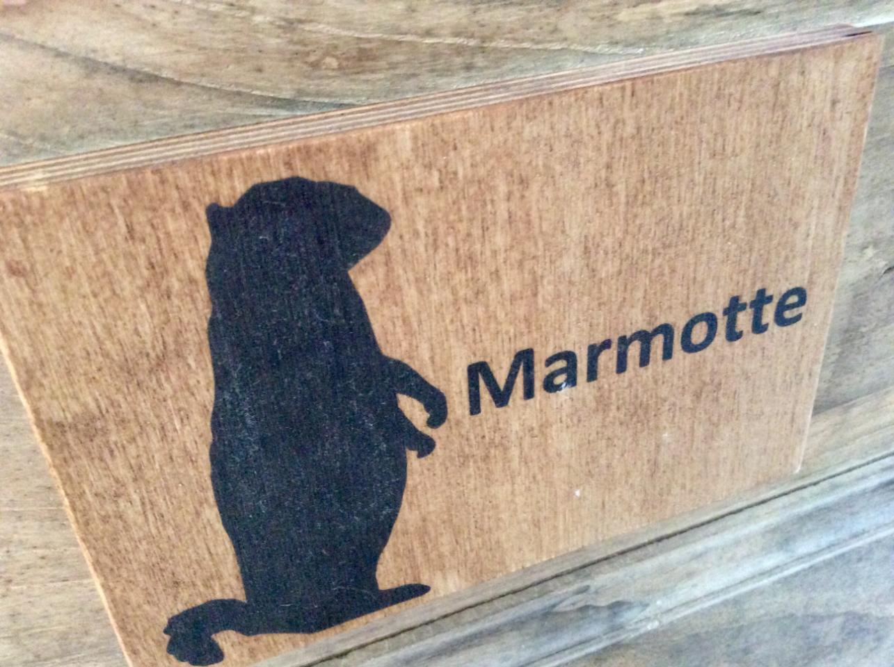 Logement GreenGo: Suite Marmotte - Image 7