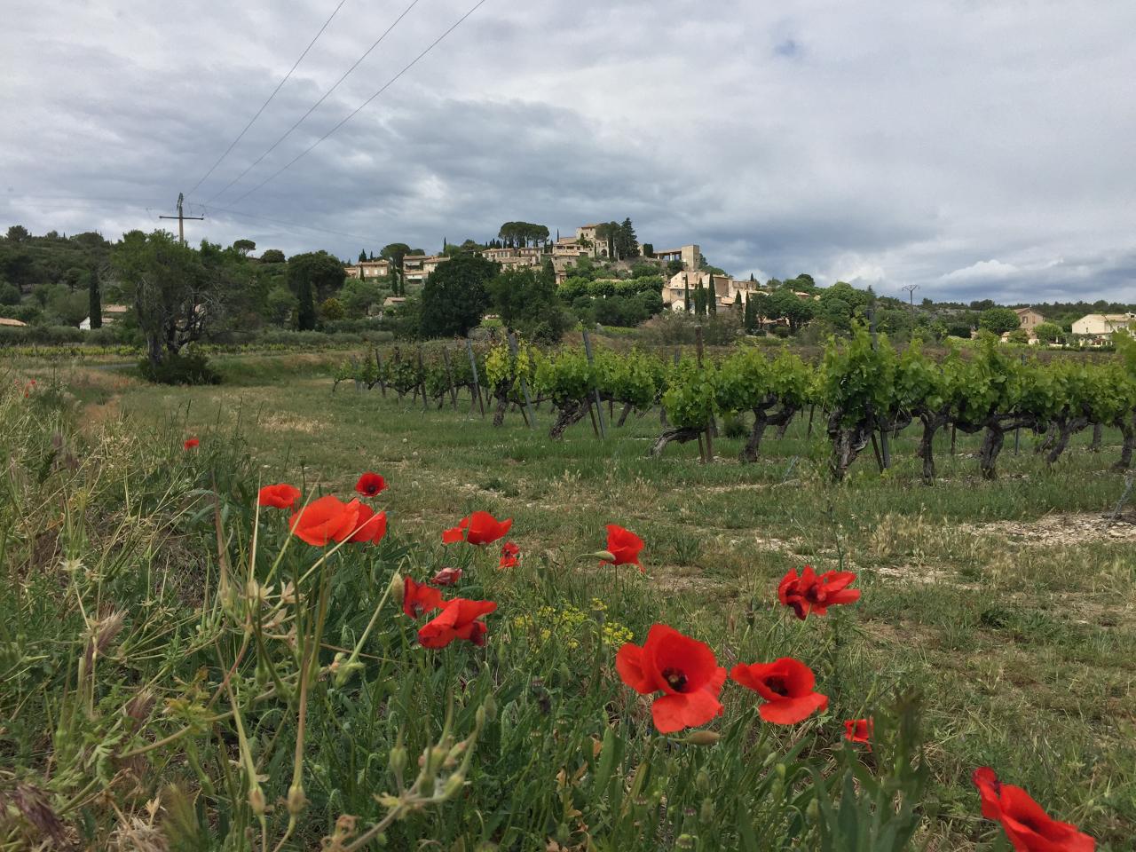 Hôte GreenGo: Paradis secret en Provence - Image 10