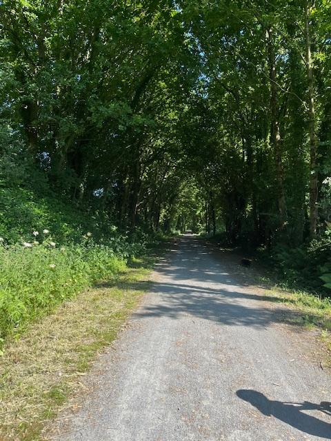 Carte cadeau GreenGo