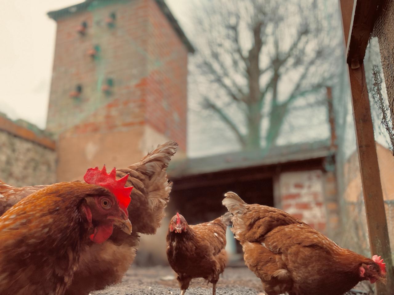GreenGo Gîte Pays de la Loire Évasion