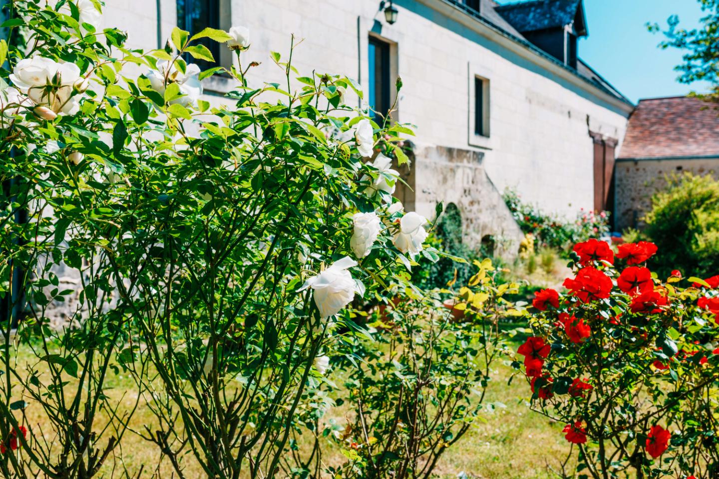orderedImageAlt_accommodation_default