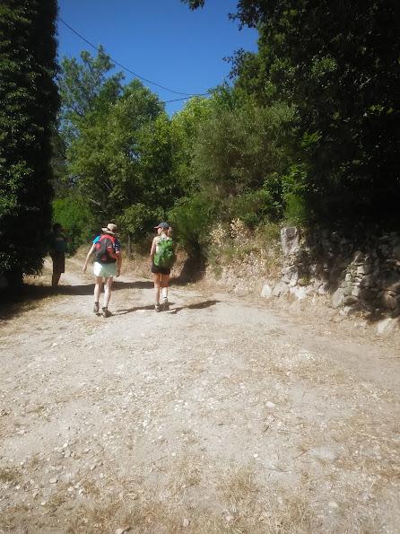 Logement GreenGo: Emplacement de camping en pleine nature d'un écolieu en montagne du Sud Ardèche - Image 11