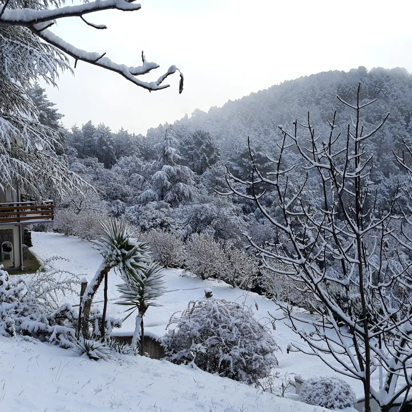 Hôte GreenGo: Gîte villa Les Cèdres en Cevennes avec vue panoramique et piscine chauffée - Image 9