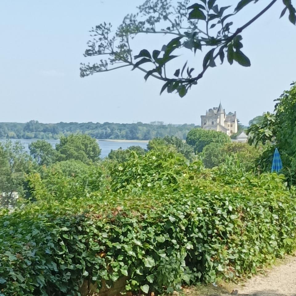 Hôte GreenGo: Charmante maison troglodyte avec vue sur Loire - Image 19