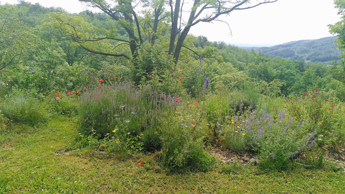 GreenGo Gîte Auvergne-Rhône-Alpes Évasion