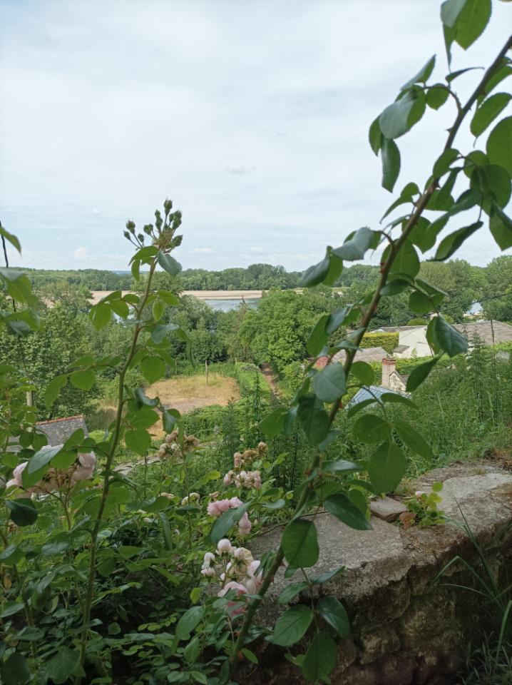 Hôte GreenGo: Charmante maison troglodyte avec vue sur Loire - Image 15