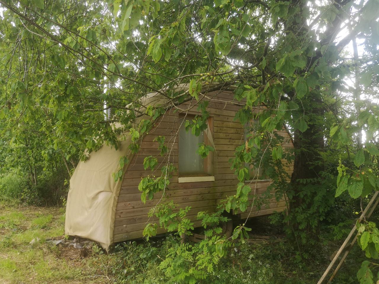 Logement GreenGo: Tiny Coccinelle. Petit nid nature.