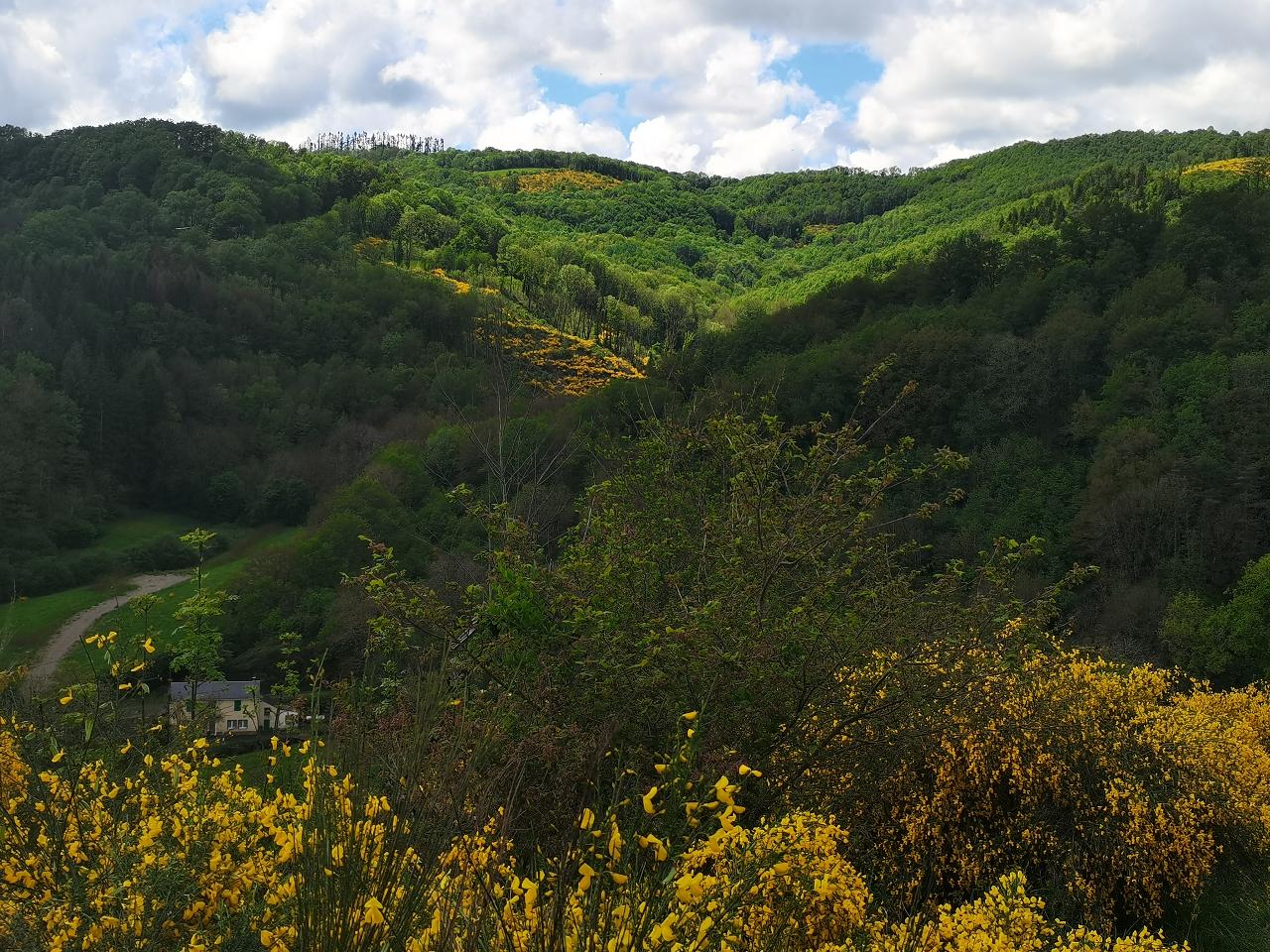 Hôte GreenGo: La Verdine - Image 50