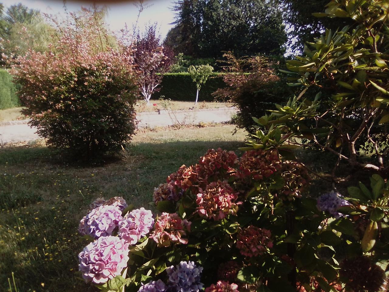 orderedImageAlt_accommodation_default