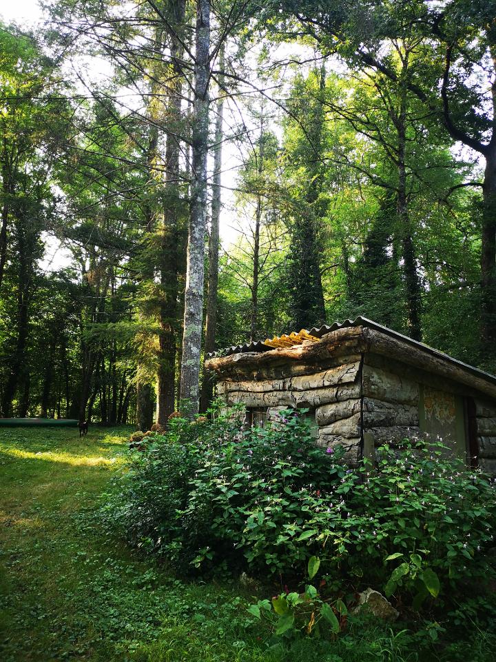 Hôte GreenGo: Le Chalet au bord de la Dordogne - Image 7