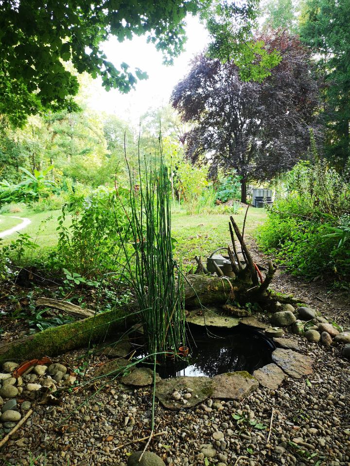 Hôte GreenGo: Le Chalet au bord de la Dordogne - Image 4