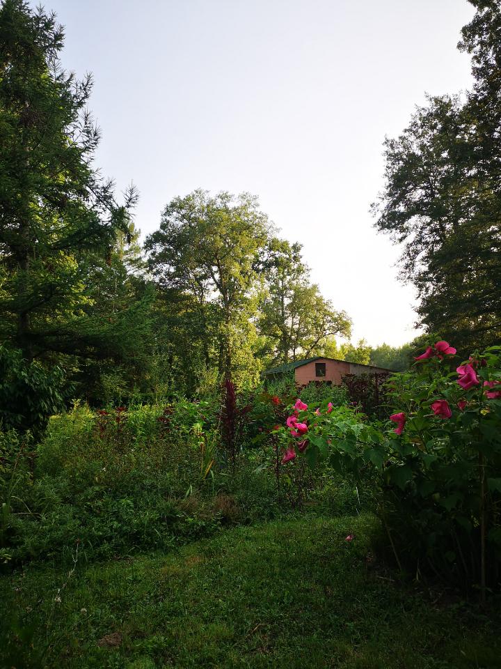 Hôte GreenGo: Le Chalet au bord de la Dordogne - Image 9