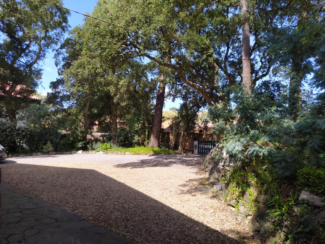 GreenGo La villa sous les pins