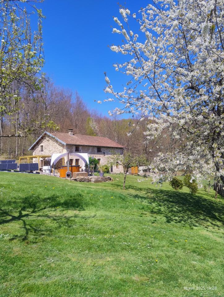 Carte cadeau GreenGo