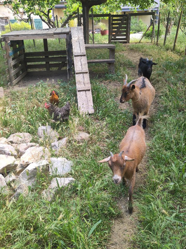 Hérault À la campagne