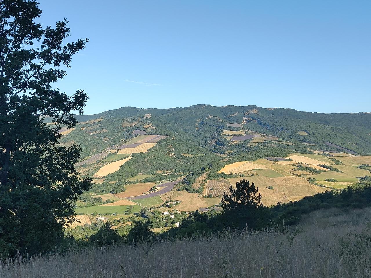 Carte cadeau GreenGo