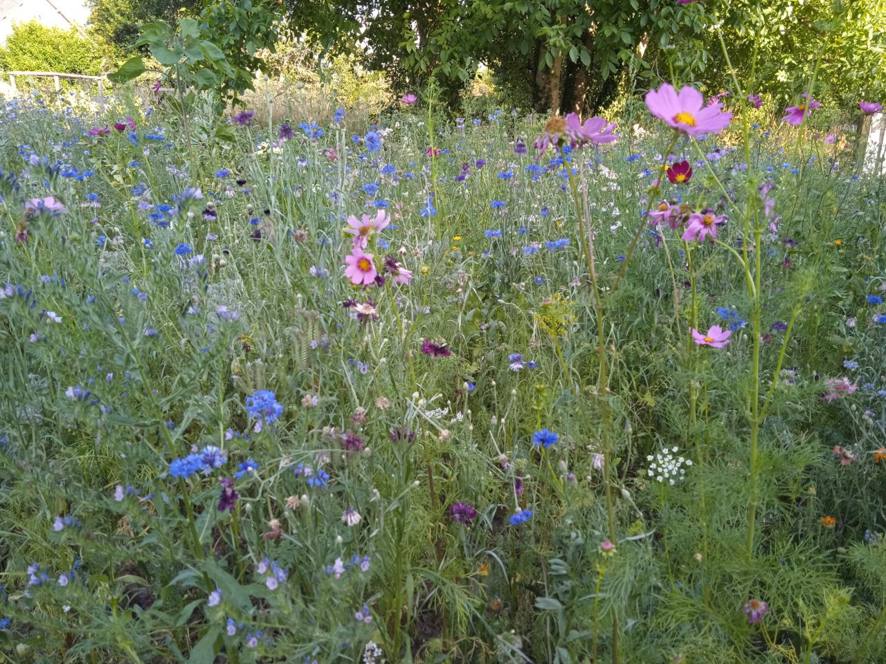 Carte cadeau GreenGo