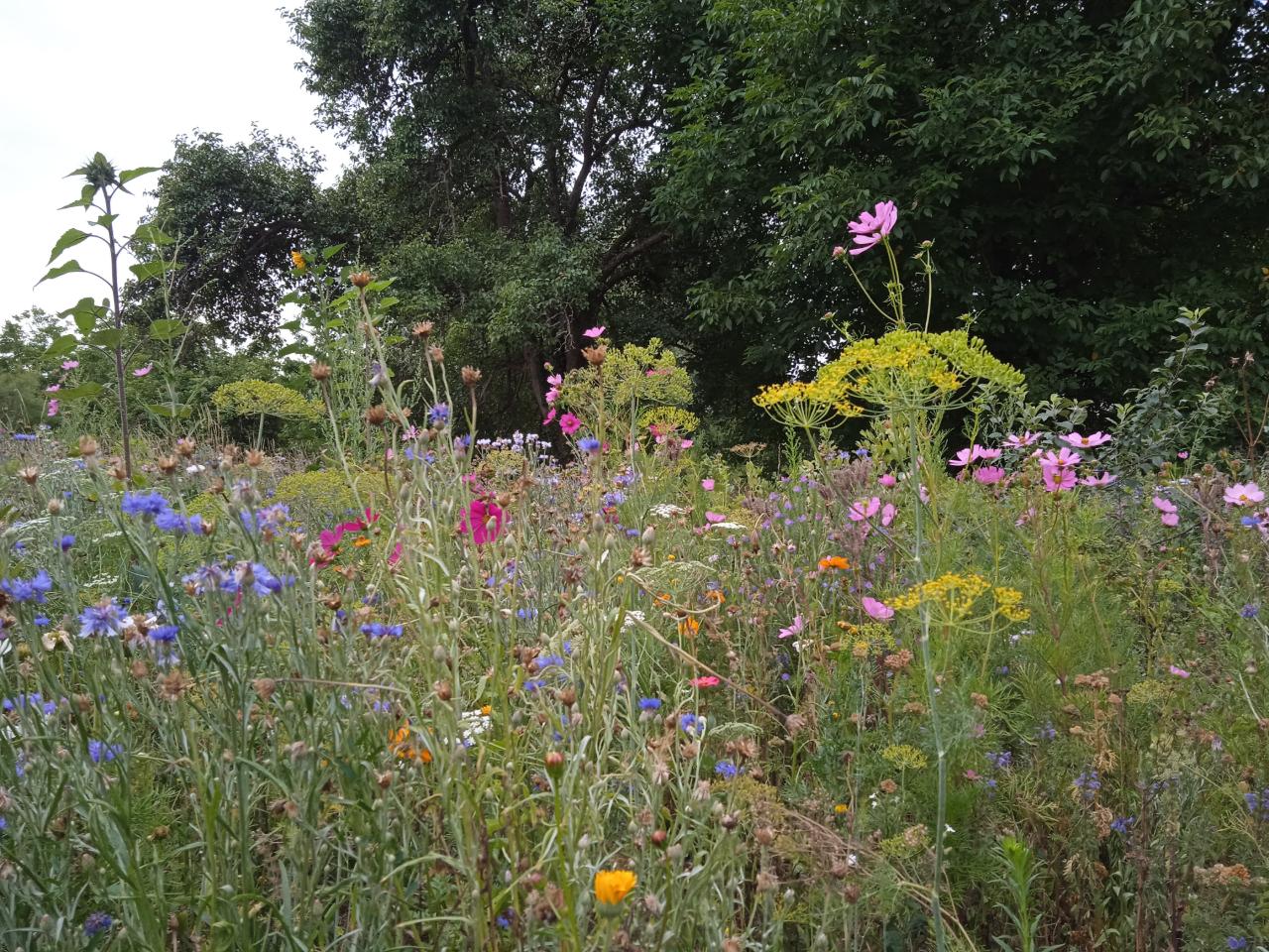  Seine-et-Marne À la campagne
