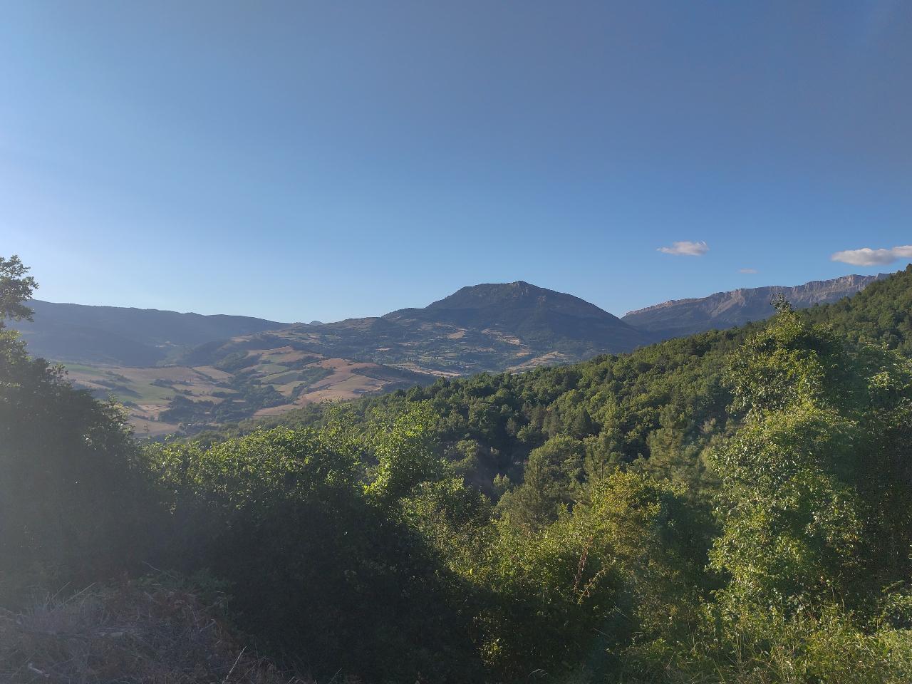 GreenGo Les cabanes de la Bannette - a travers l'arbre