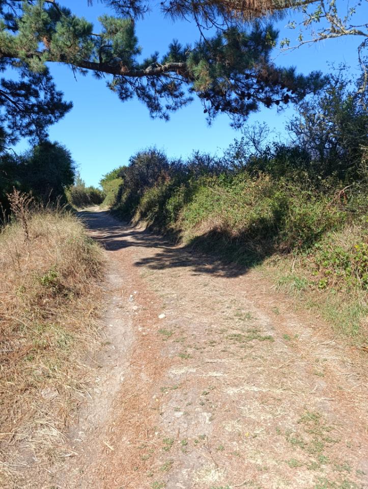 Carte cadeau GreenGo