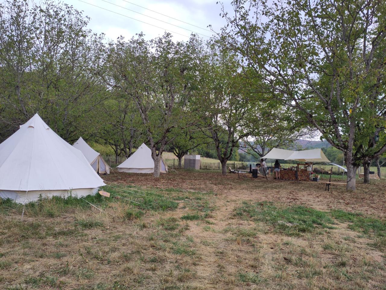 GreenGo Camp de base de Nomades des terres